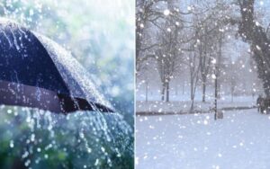 vis 1211202512184486 1024x640 1