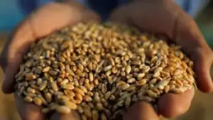 601a747b423604371809f138