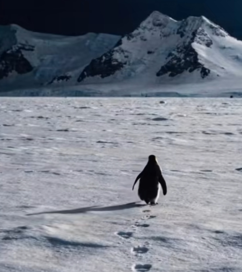 Screenshot 2026 01 27 00 11 03 992 com.zhiliaoapp.musically edit