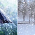 vis 1211202512184486 1024x640 1