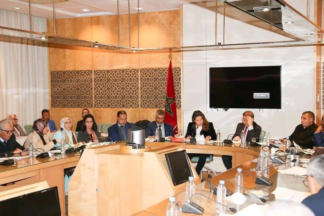 مولاي هشام المهاجري يشارك في أشغال لجنة البنيات الأساسية لمناقشة قوانين استراتيجية تهم السلامة الطرقية وقطاع الطاقة 2 1000447345