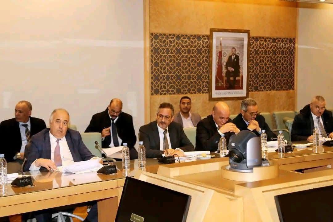 مولاي هشام المهاجري يشارك في أشغال لجنة البنيات الأساسية لمناقشة قوانين استراتيجية تهم السلامة الطرقية وقطاع الطاقة 3 1000447346