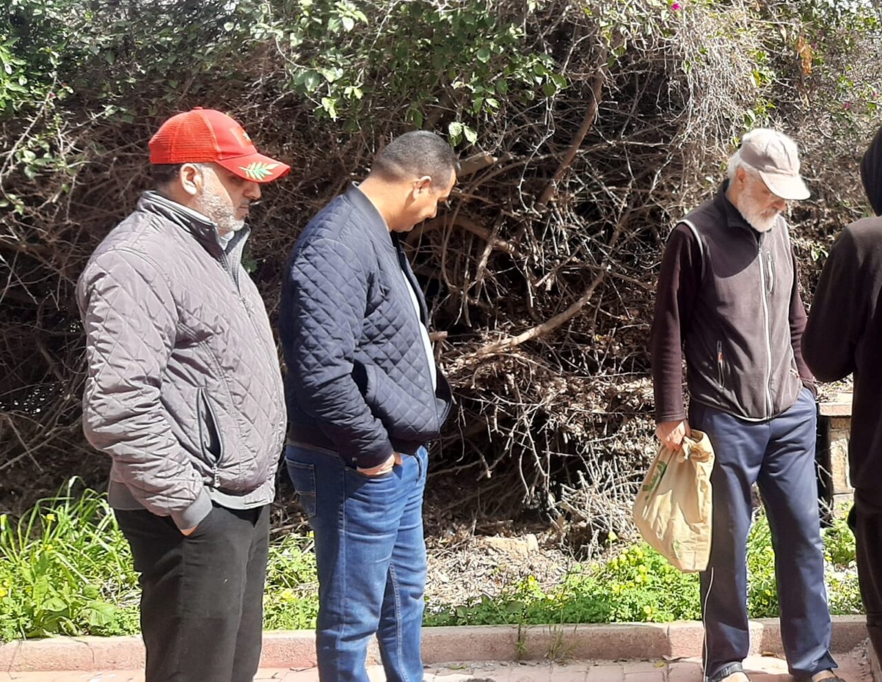 بمبادرة من السلطات وتوقيع فني لتامسنا… كراسي شارع الكولف بسطات تتحول إلى لوحات نابضة بالحياة. 6 1000467478