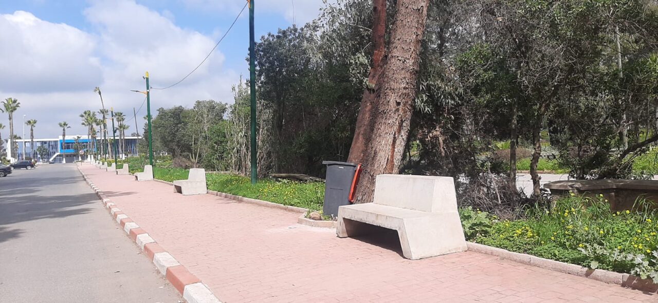 بمبادرة من السلطات وتوقيع فني لتامسنا… كراسي شارع الكولف بسطات تتحول إلى لوحات نابضة بالحياة. 7 1000467479