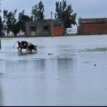 628040612 1506262424559298 5255257527419826479 n 1024x767 1