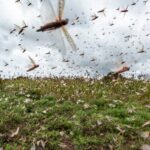 AP 20024491002008 640x400 1