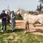 FB IMG 1772111772516