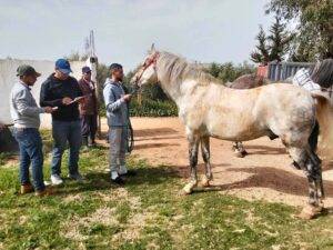 FB IMG 1772111772516