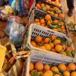 FB IMG 1772113322178