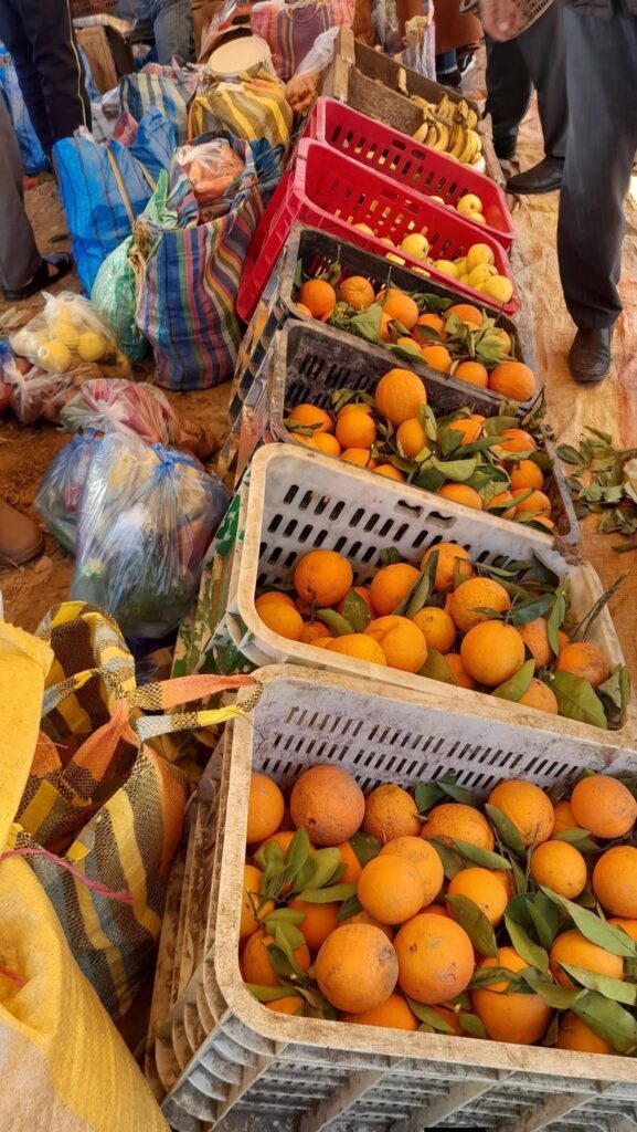 FB IMG 1772113322178