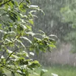 GettyImages 898238970 1024x768 4 1