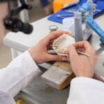 IMG 20260211 WA00301