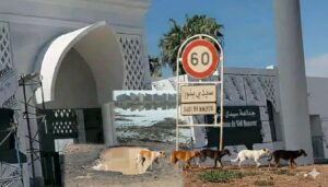 IMG 20260222 WA0086 1