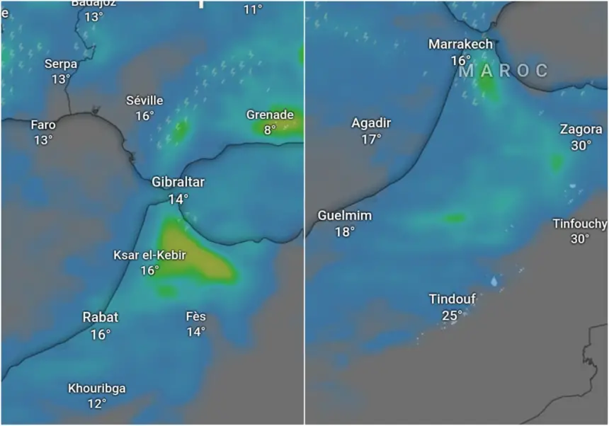 WhatsApp Image 2026 02 10 at 20.12.20 1770752424