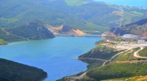 images 2026 02 21T063948.737