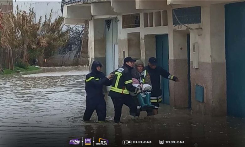 teleplus ysite 47 780x470 1