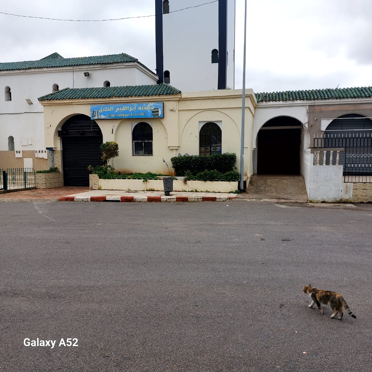 WhatsApp Image 2026 03 05 at 13.24.15