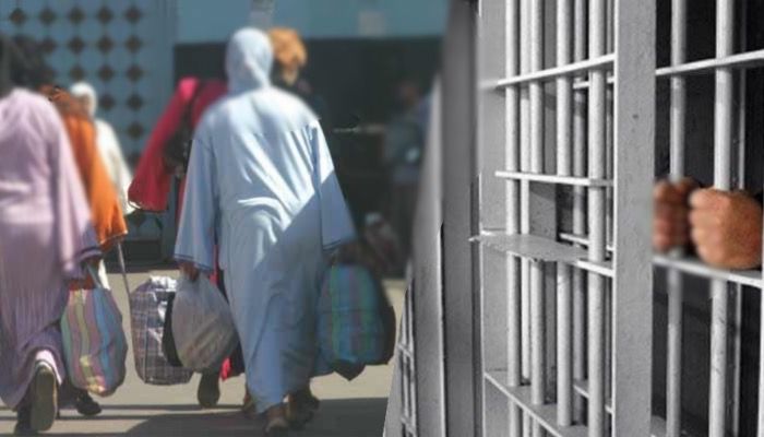 WhatsApp Image 2026 03 17 at 04.27.50