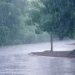 image 870x 6991d347adcf7