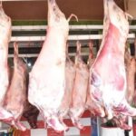 images 2026 03 21T121456.772