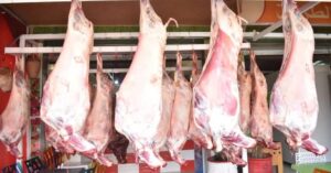 images 2026 03 21T121456.772