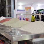 morocco fertilizer us market