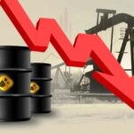 xWhatsApp Image 2025 01 22 a 09.31.42 b4bf2c7b.jpg.pagespeed.ic .IGNm1fdHYy