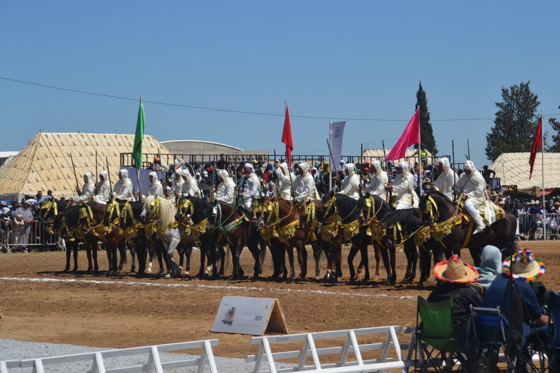 تيفلت تحتضن انطلاقة متميزة للإقصائيات الجهوية لكأس الحسن الثاني للتبوريدة وسط حضور وازن للمسؤولين. 28 1000492848