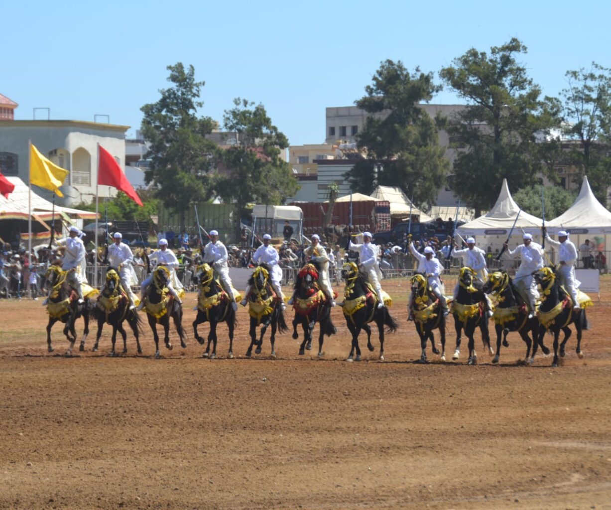 تيفلت تحتضن انطلاقة متميزة للإقصائيات الجهوية لكأس الحسن الثاني للتبوريدة وسط حضور وازن للمسؤولين. 19 1000492863