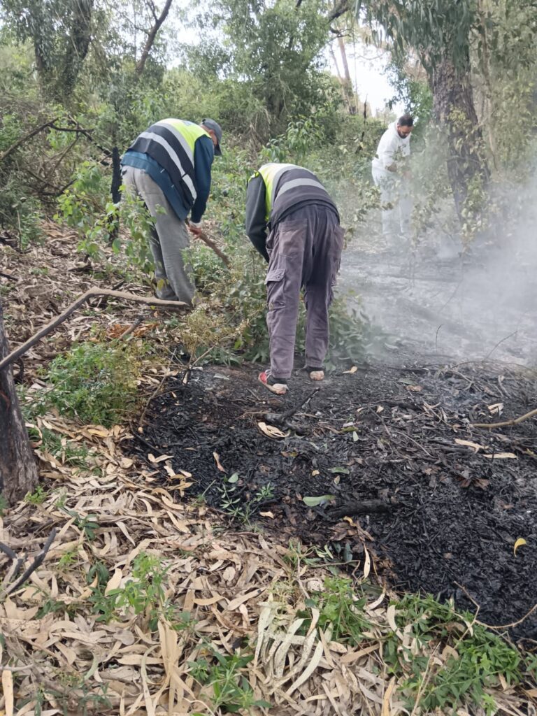 شباب تعاونية سيدي بوغابة… حُرّاس الطبيعة في مواجهة التلوث والحرائق 4 1000495725