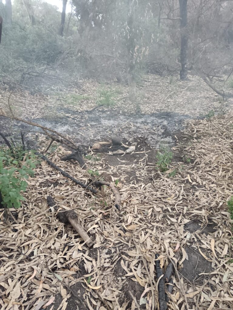 شباب تعاونية سيدي بوغابة… حُرّاس الطبيعة في مواجهة التلوث والحرائق 6 1000495727