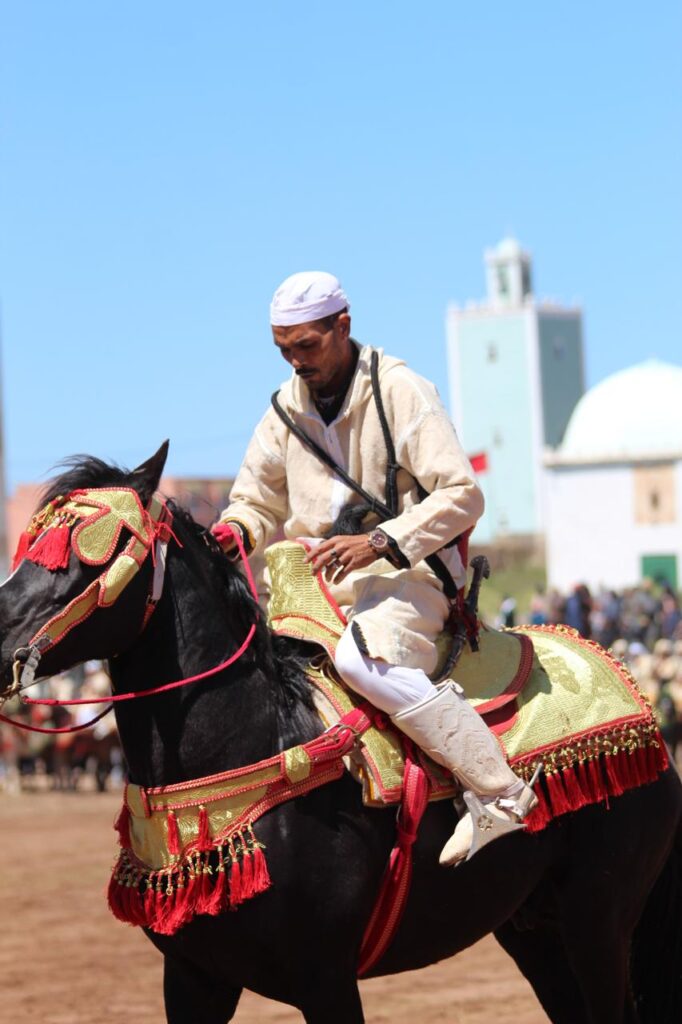 أقرمود تسدل الستار على مهرجان التبوريدة في أجواء جماهيرية حاشدة. 5 1000499405