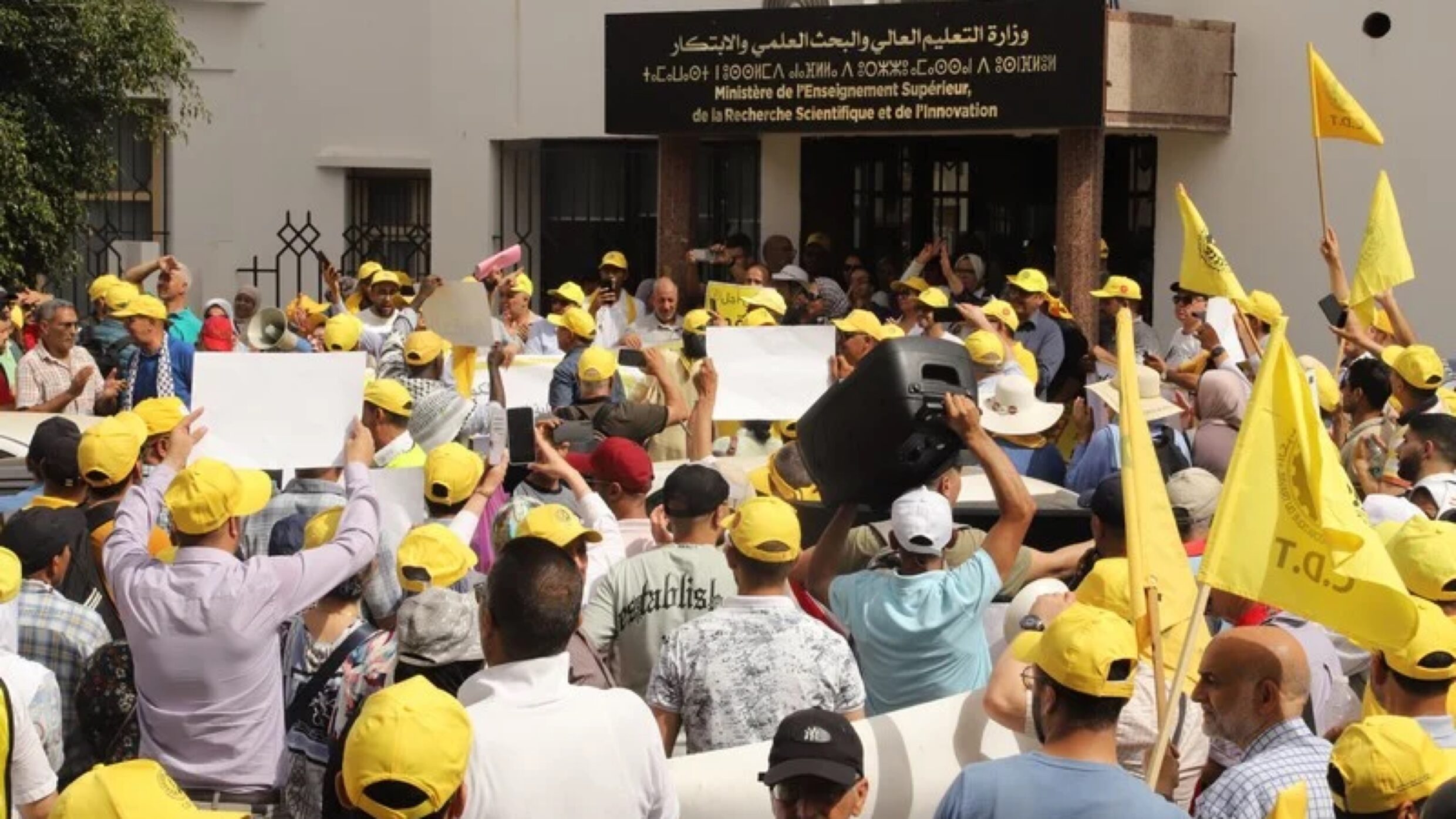 IMG 3501 2480x1395 1