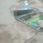 e069908e 3aae 4d37 ad47 7396ed2b08a2