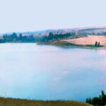 ضاية الرومي