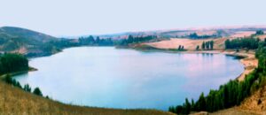 ضاية الرومي